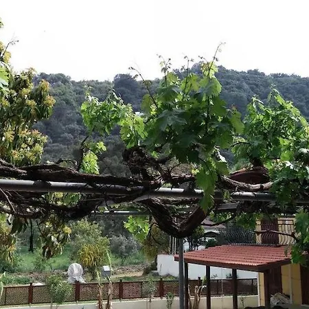 Pisilis Otel Sarigerme * Sarigerme